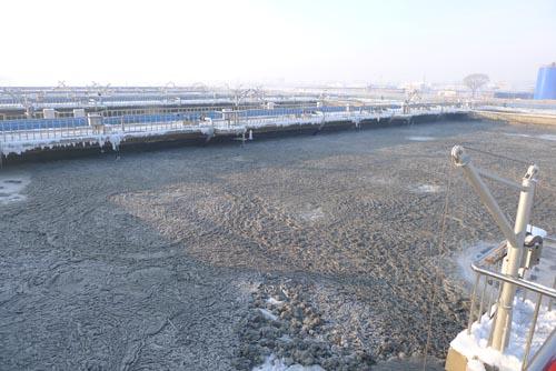وسائط مرشح Cangier HDPE MBBR - 4/5/6/19/40 غرفة ، 900/1000/800/650/900m2 / m3 المسامية 6