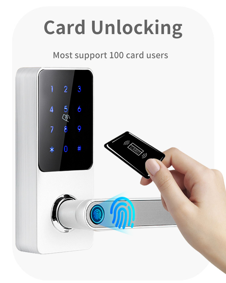 Wiif Fingerprint Password Rfid Card Keyless Universal Electronic Handle Smart Lock with TTlock APP