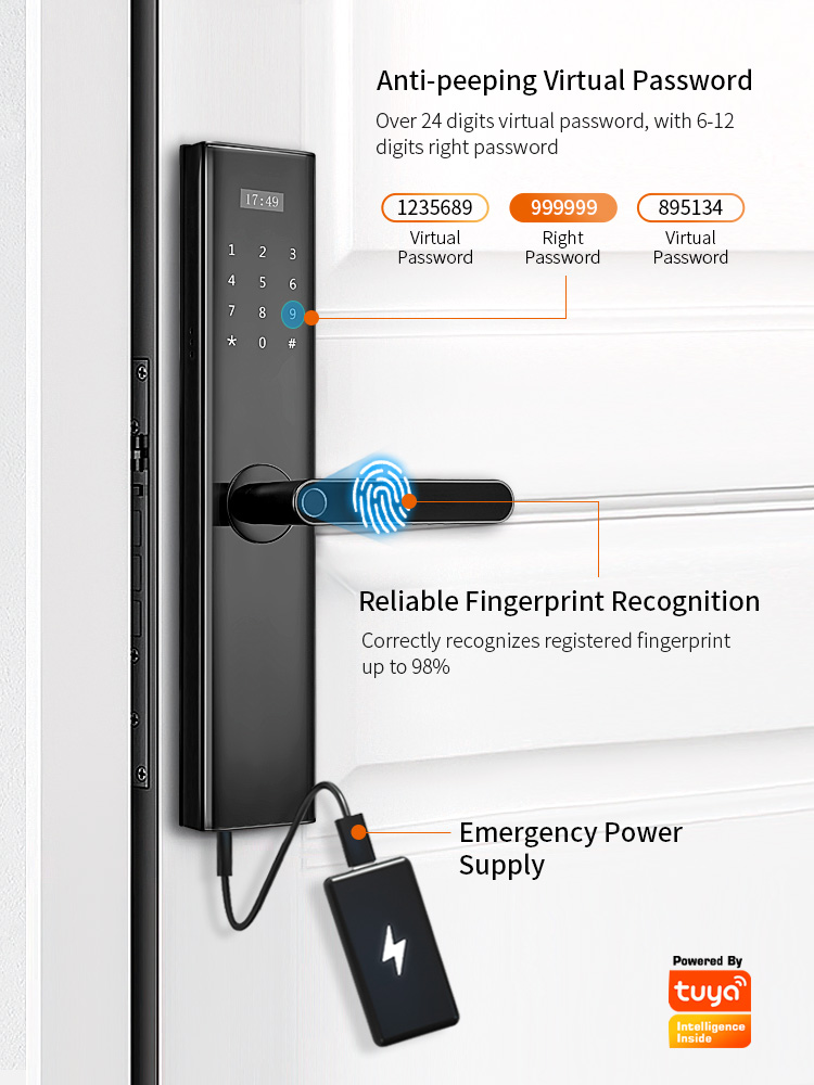 Tediton Tuya Wifi Biometric Fingerprint Intelligent Digital Push Pull Smart Door Lock