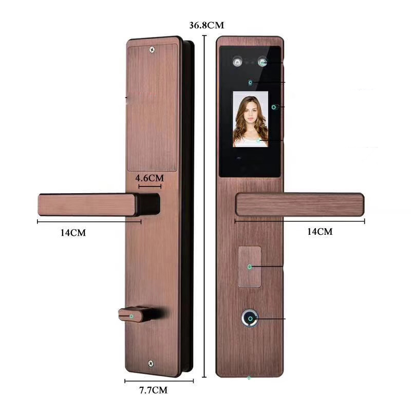 Tuya APP Wifi System Face Recognition Biometric Smart Door Lock for Home