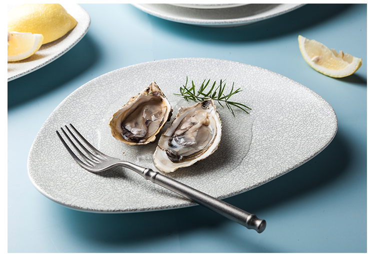 Catering dish Dinner Plate Manufacturer Wholesale Nordic Dinnerware