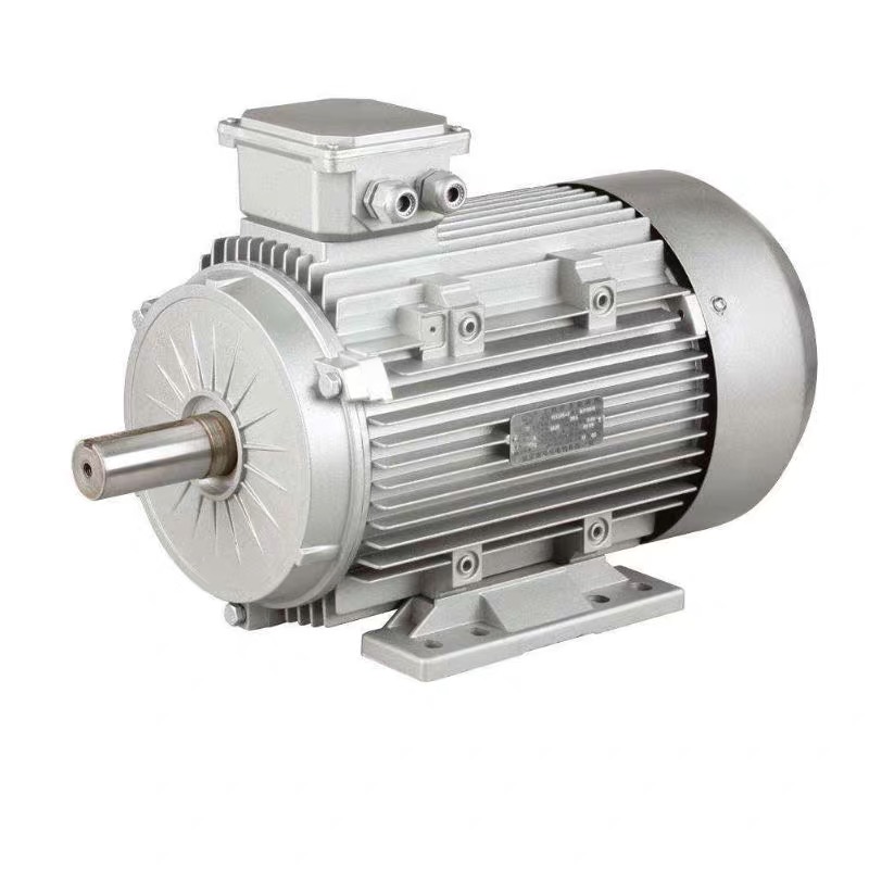 YE2-200L1-2 30KW 41HP Asynchronous Three Phase Asynchronous AC Electric Motor