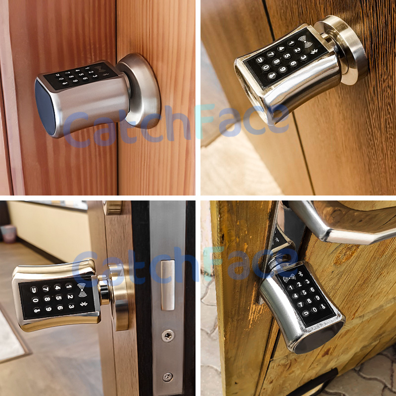 Tediton Best European Aluminum BLE APP Door Lock Cylinder with Fingerprint Key