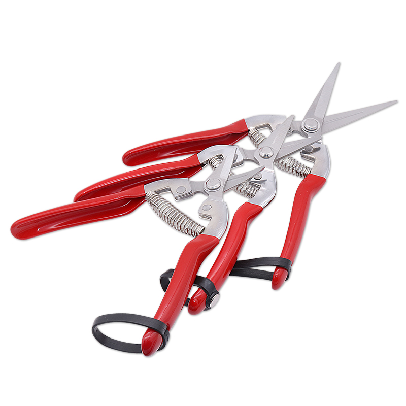 curved graft scissors