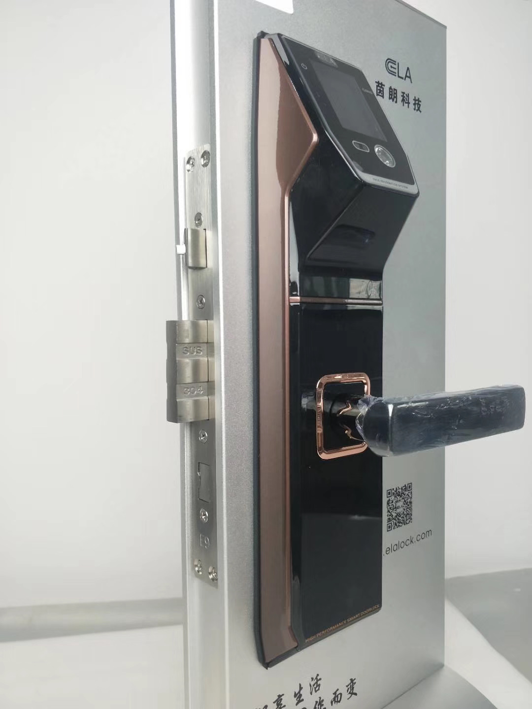 Tediton Smart Face Recognition Digital Door Handle Lock with Fingerprint Code Card Key