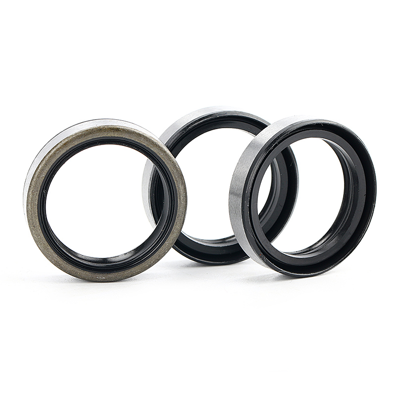 single double lips brown FKM black NBR with spring Rubber skeleton oil seals TC 8X24X7 15*30*10 16X24X4 20X35X5 21X35X7 22x28x4