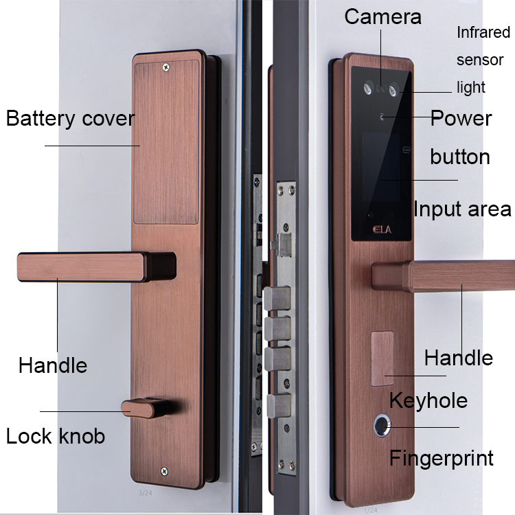 Tuya APP Wifi System Face Recognition Biometric Smart Door Lock for Home