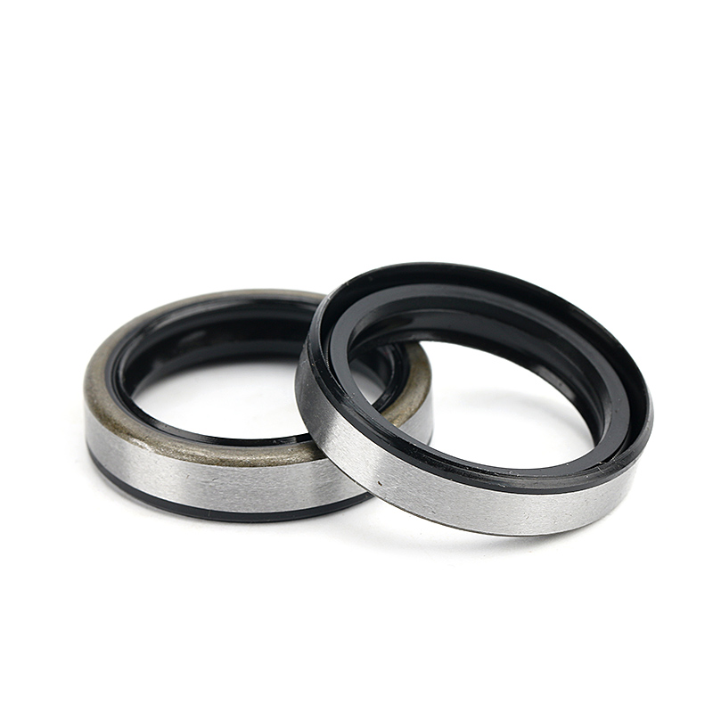 35*45*7 35*45*8 35*48*7 35*50*10 35*47*7 35*52*6 35*54*8 double lips TB iron steel shell skaleton oil seal 25327 25x32x7 25*32*7