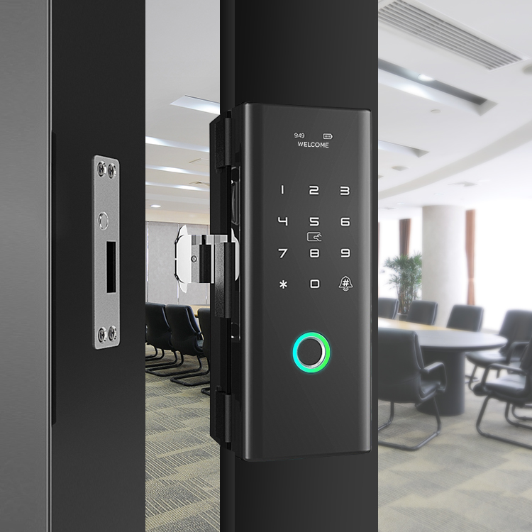 Luxury Keyless Biometric Fingerprint Password Rifd Digital Door Lock for Double Frameless Glass Door
