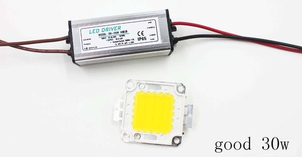 Real Full Watt 10W 20W 30W 50W 100w High Power COB LED chip lampadina con driver LED per proiettore fai da te Spot light Prato