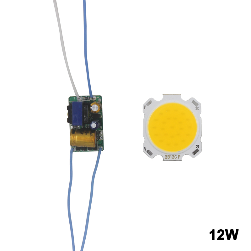 LED COB lampe perle 10W-30W puce de Source de lumière Conversion de commutateur froid/chaud avec adaptateur d'alimentation de contrôle de Segment pilote de bricolage