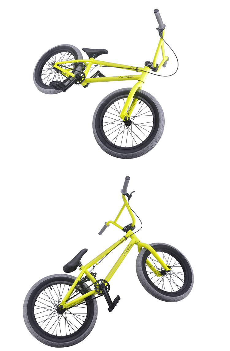 Bicycle manufacturer PROFESSIONAL Top brands dirt Jump neon