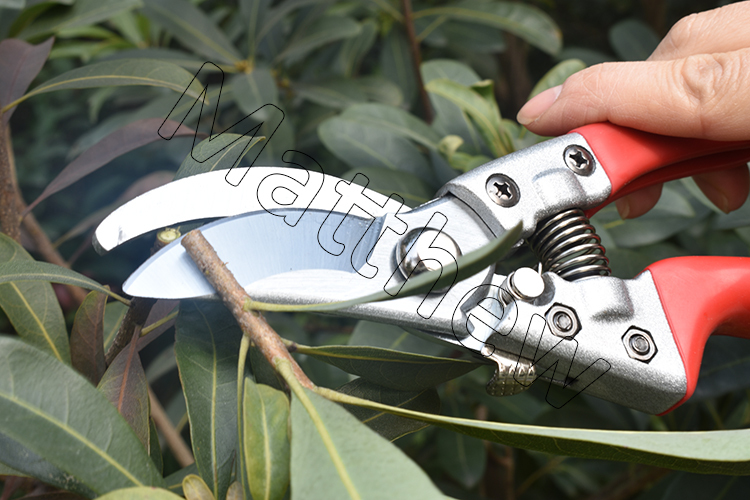 Garden Tool Professional Branch Cutting  Pruning Shears