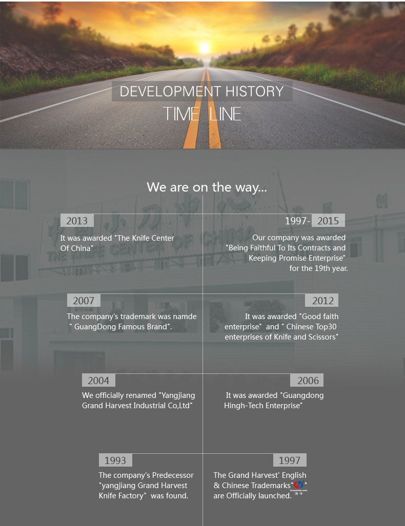 stainless steel blade with G10 handle hunter knife survival outdoor pocket knife folding