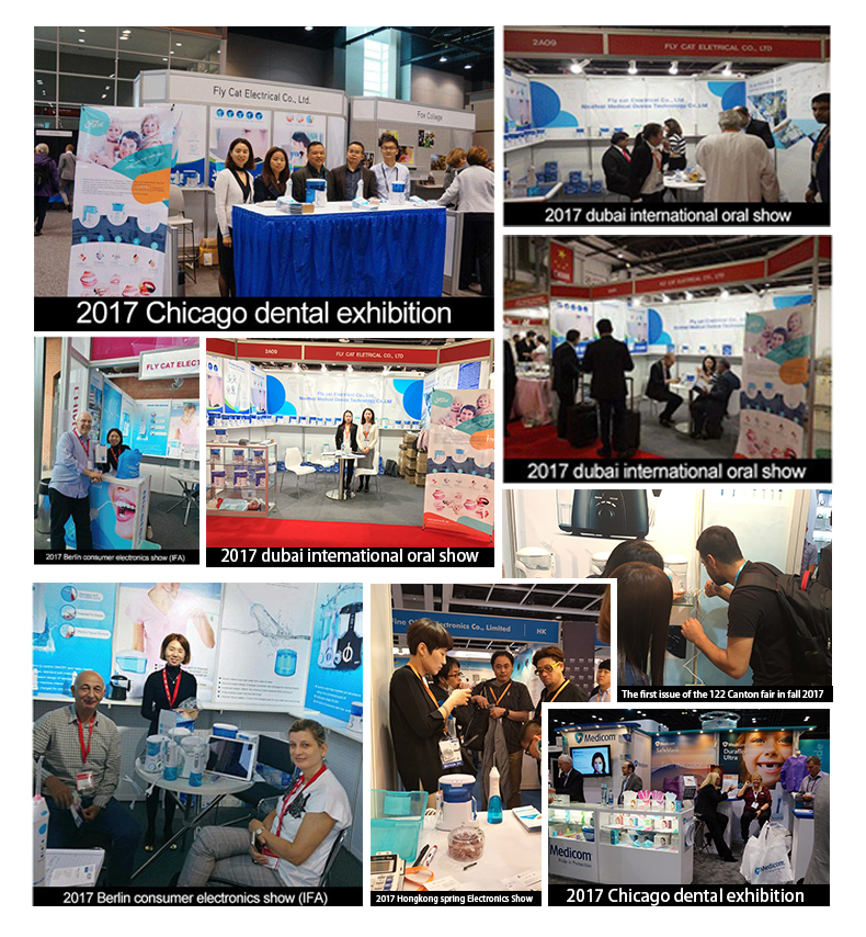 Ipx7 Waterproof Dental Water Flosser Pink 150ml Lady Dental Irrigator