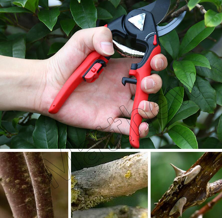 Wholesale Professional PTFE Coated Garden Pruning Shears