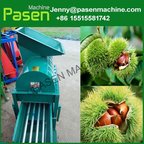 人気の栗加工機生産ライン/栗とげ刺しバリ取り機/中国栗皮むき機