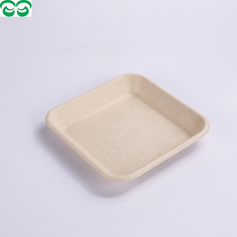 Dinnerware Sets bagasse Tray