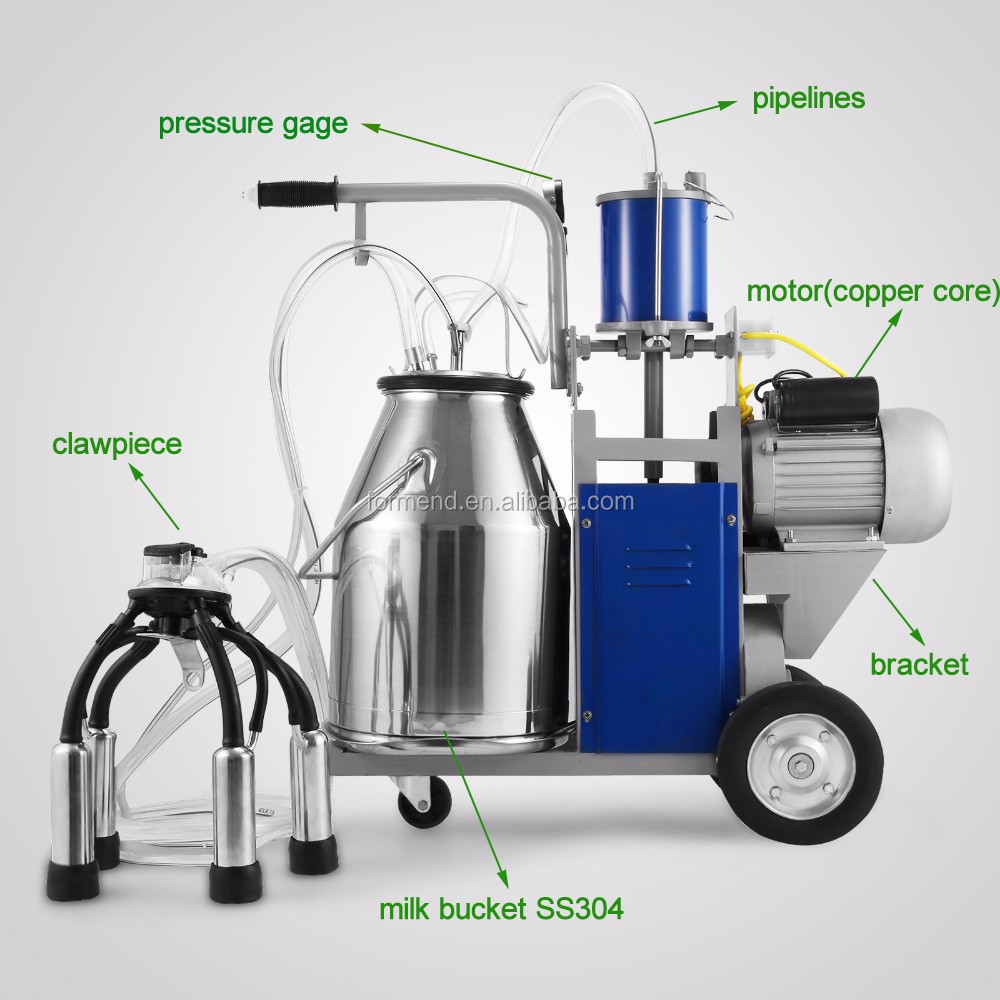176009_5