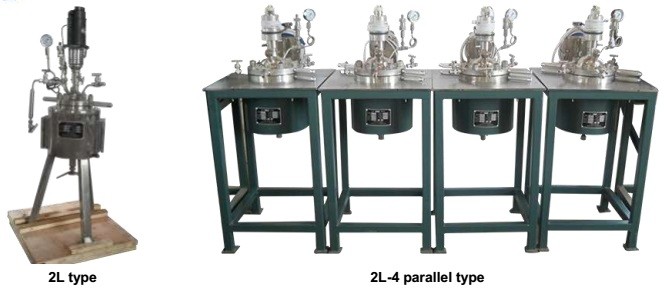 high pressure hydrogenation reactor Vessel for laboratory