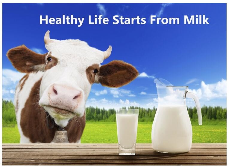 Portable milking machine/cow milking machine for sale Products from