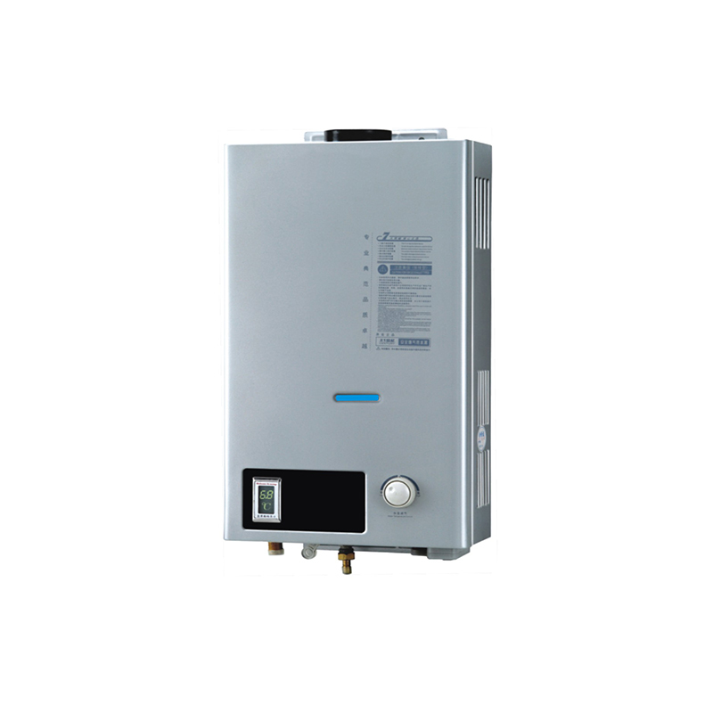 Professional manufacturer sale lnstant tankless gas water heater