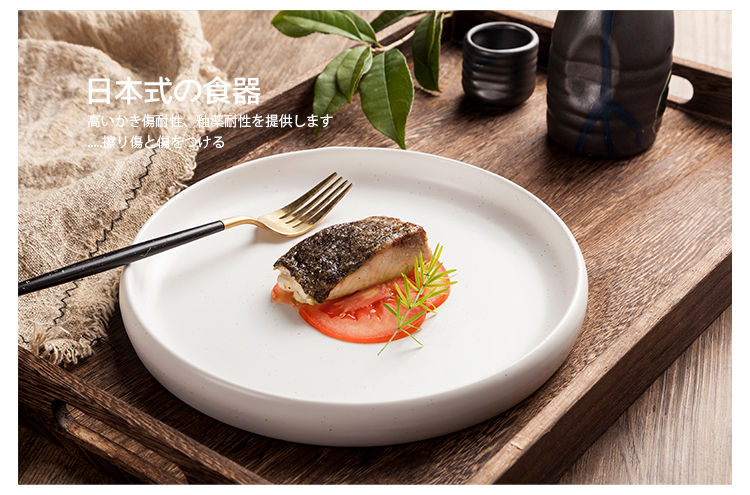 Eco-Friendly Japanese Design Food Porcelain Round Dishes Plate For Restaurants