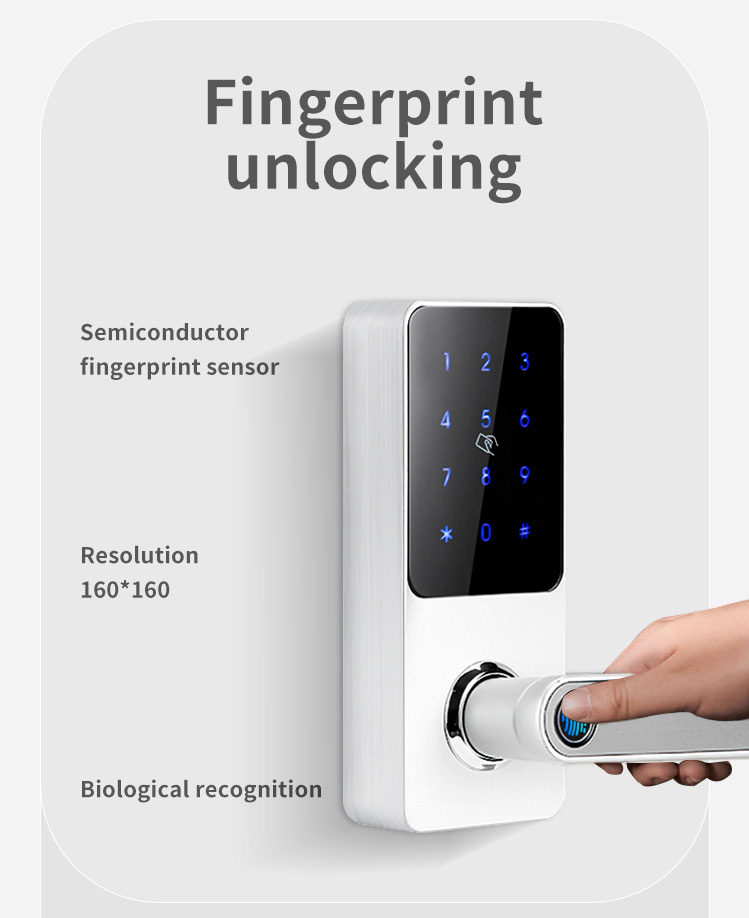 Wiif Fingerprint Password Rfid Card Keyless Universal Electronic Handle Smart Lock with TTlock APP