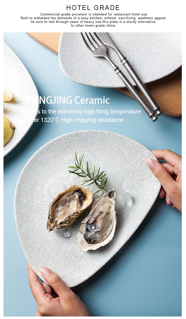 Catering dish Dinner Plate Manufacturer Wholesale Nordic Dinnerware