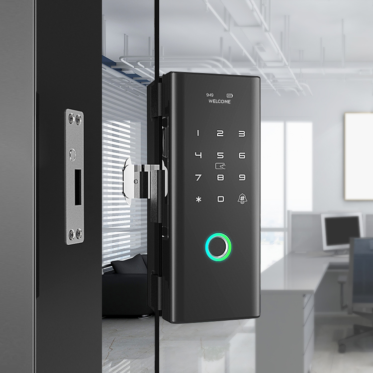 Luxury Keyless Biometric Fingerprint Password Rifd Digital Door Lock for Double Frameless Glass Door