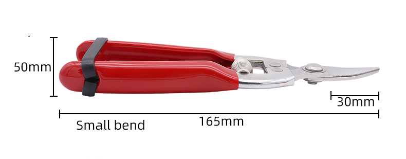 curved graft scissors
