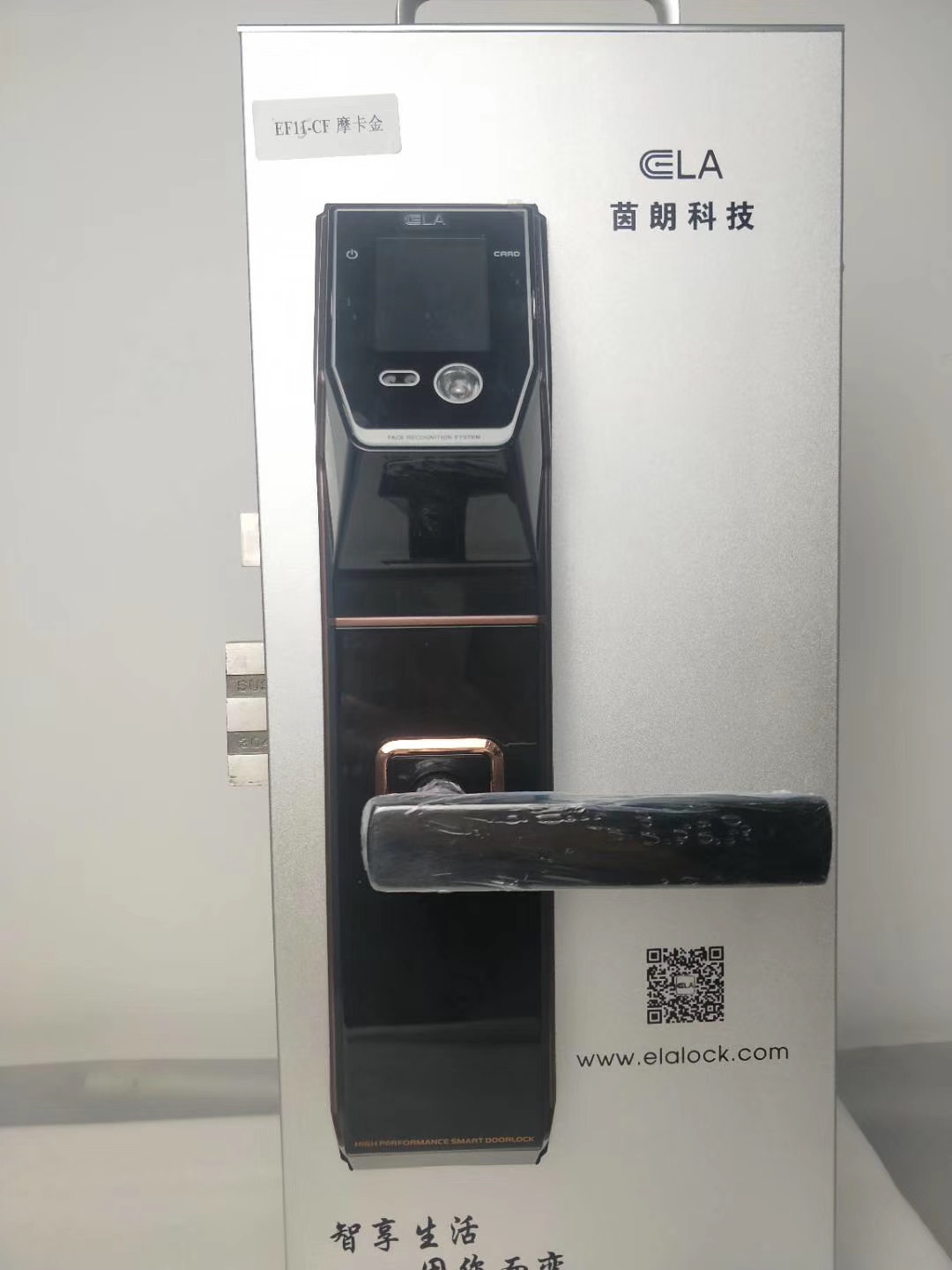 Tediton Smart Face Recognition Digital Door Handle Lock with Fingerprint Code Card Key