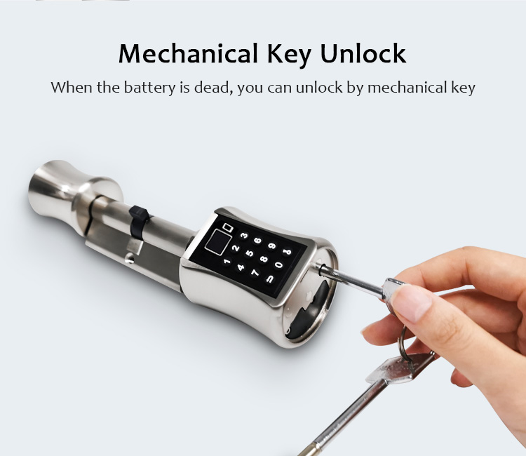 Tediton Best European Aluminum BLE APP Door Lock Cylinder with Fingerprint Key