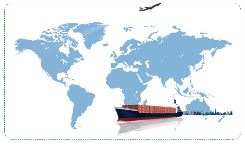 Super 1 Layer 2 Layer Cleaning Care Cheap Soft Native Wood Pulp Custom Printing Design Logo Toilet Paper Bathroom Tissue Roll