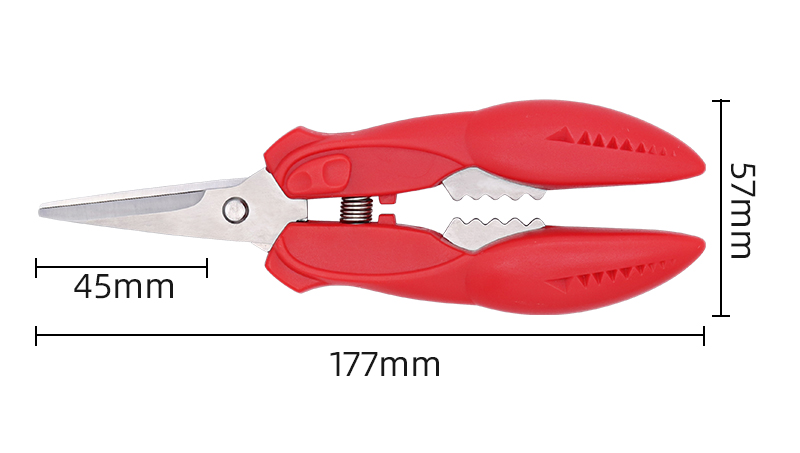 fishing lobster crab seafood kitchen scissors