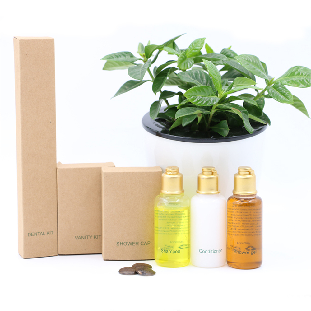 Disposable  kraft set hotel amenities
