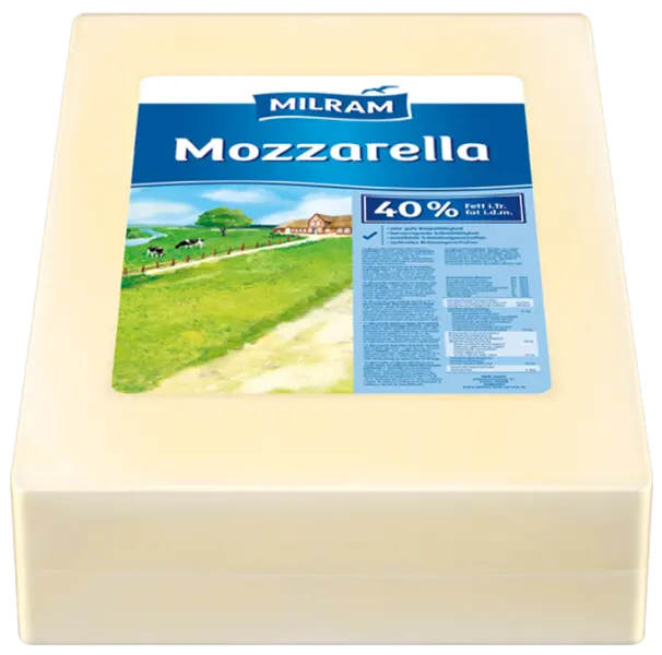 Сыр Mozzarella премиум-класса, прибл. 40% жира Блоки 15 кг