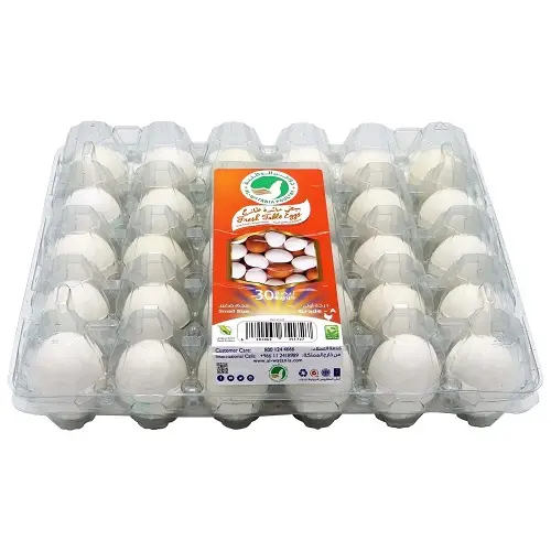 farm Fresh Chicken Table Eggs & Fertilized Hatching Eggs, White eggs