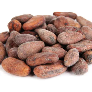 Какао бобы Ariba какао бобы сушеные сырые какао ферментированные какао бобы зеленый вес