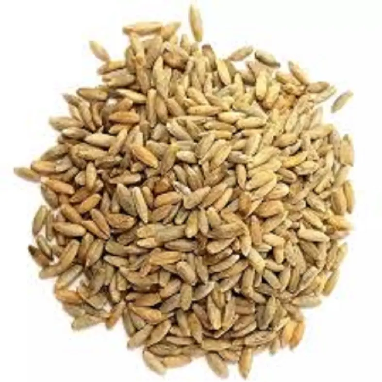 Bulk Supply Large Quantity with Competitive Price Organic Whole Rye Grain from Trusted Supplier USA