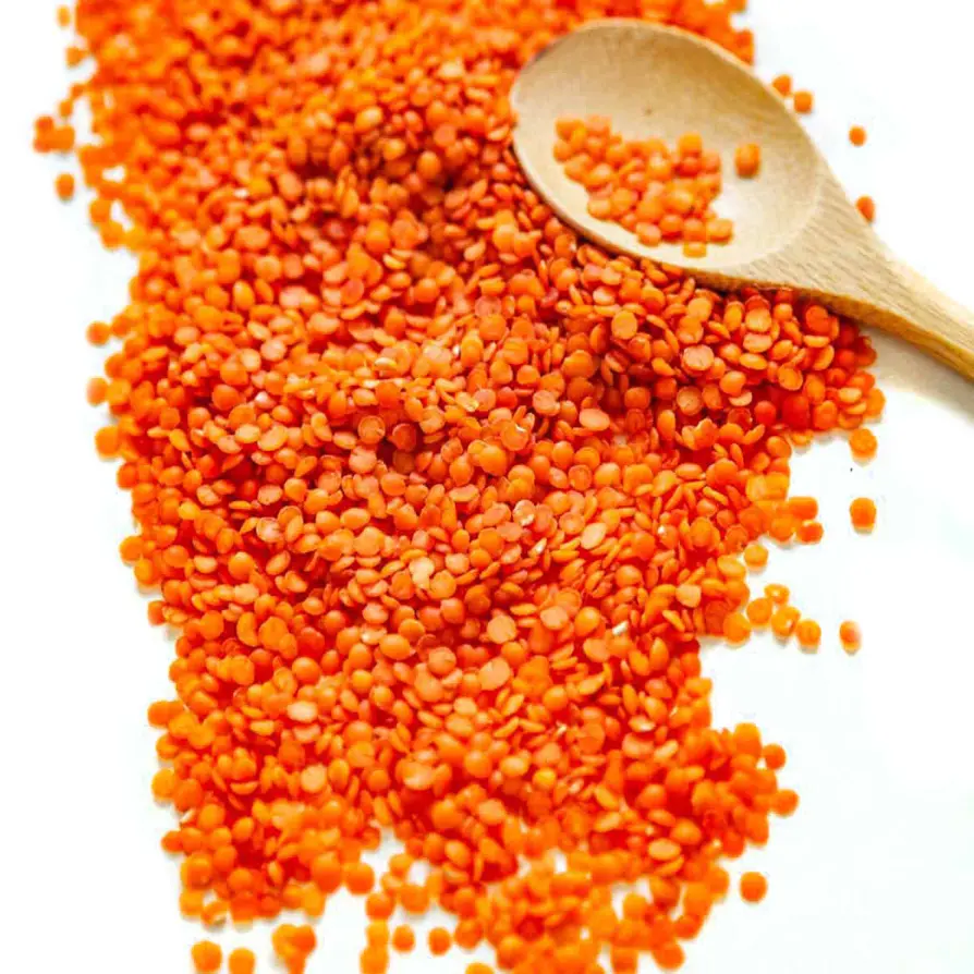 Best quality Red Lentils ecological product of Russia reliable supplier grains and beans in bulk red lentils