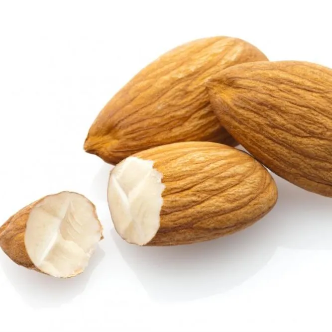 Best Premium Quality Californian Almond in without Shelled For Sale