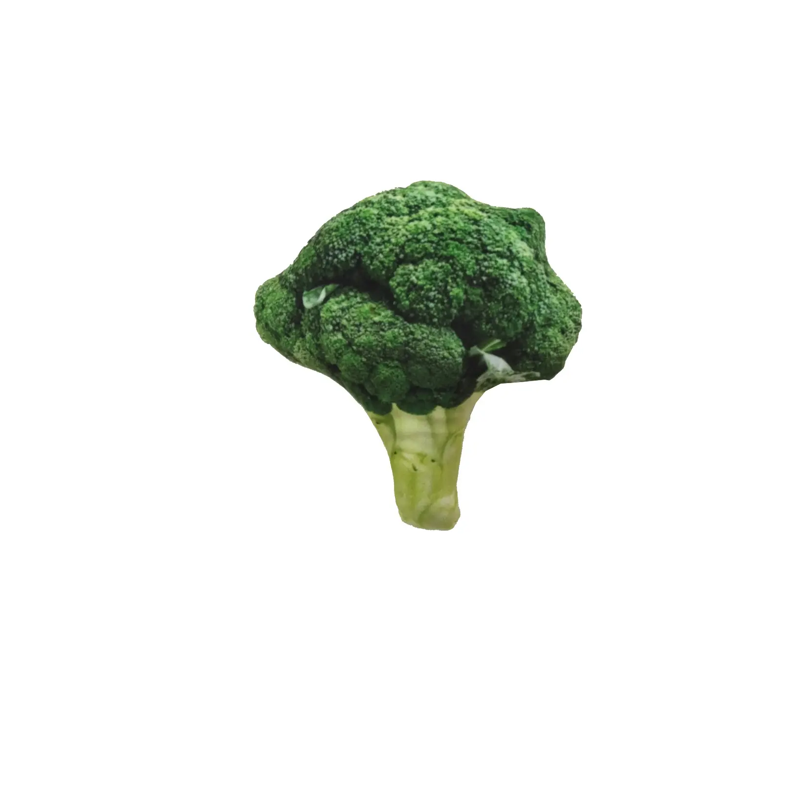 Broccoli | Casey's Foods from France