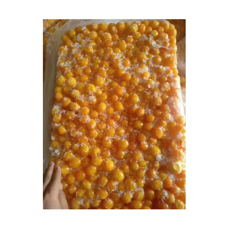 Best Selling Top Food Grade Highly Nutrient Fresh Selling Chicken Frozen Egg Yolk by Trusted Supplier at Genuine Price