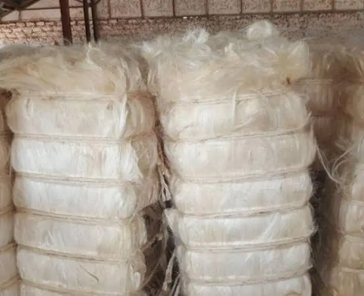 UG Grade Sisal Fiber Available/ Palm Fiber for sale