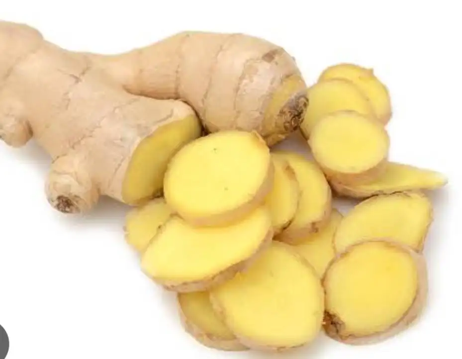 Good Quality Old Fresh Ginger from Thailand, Direct Ginger Farm