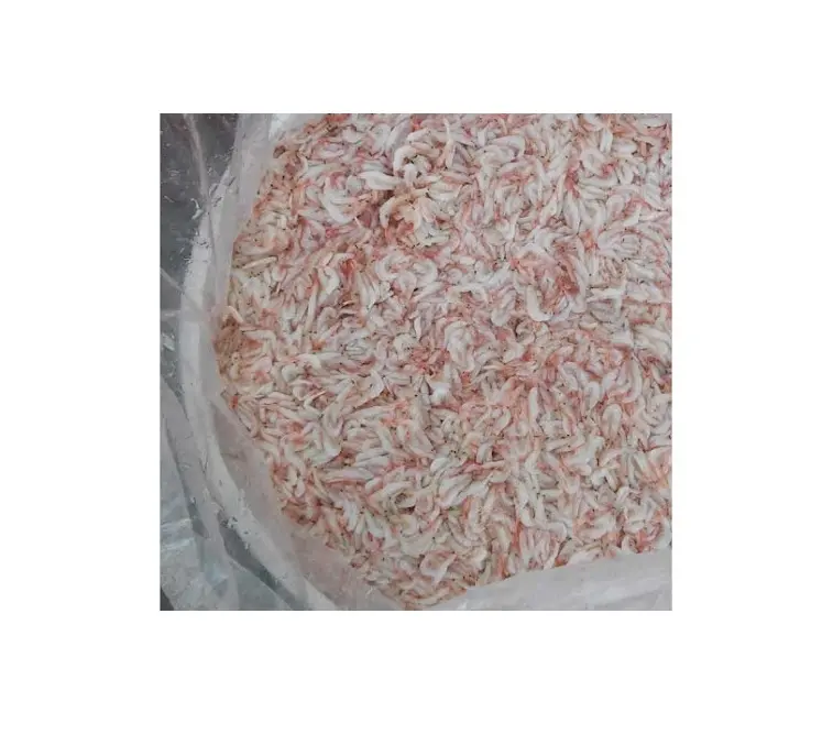 Поставки соленой пресной воды Krill соленые Детские Krill Маринованные креветки + 84947900124