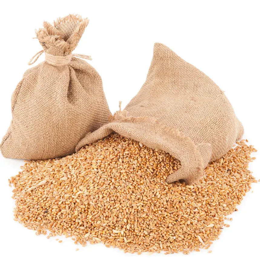 Белые мягкие и твердые зерна пшеницы для продажи