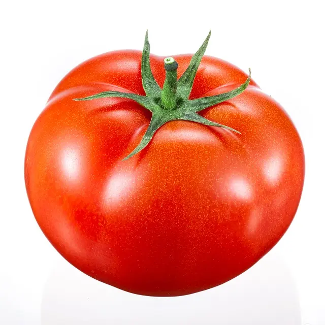 Wholesale Fresh Beef Tomatoes Cherry Tomatoes Fresh Plum Tomatoes 2023New Harvest