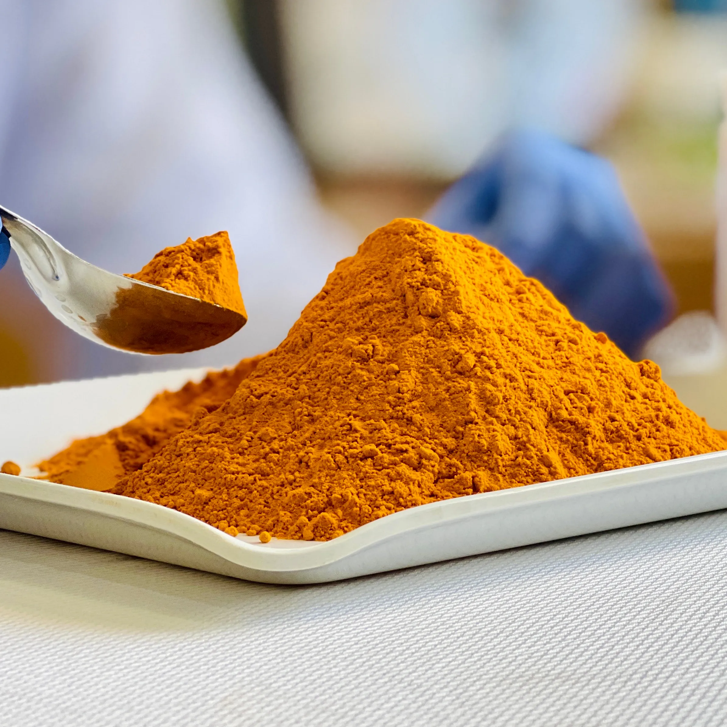 High Quality Organic Turmeric Root Powder and Extract with 95 percent Curcumin content available in Bulk and Retail packing